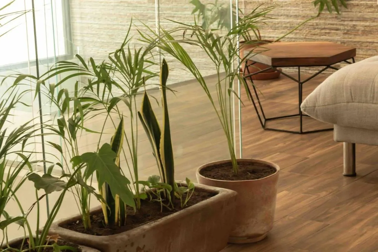 Lovely 2-Bed Apartment In Tulum With Private Pool 멕시코